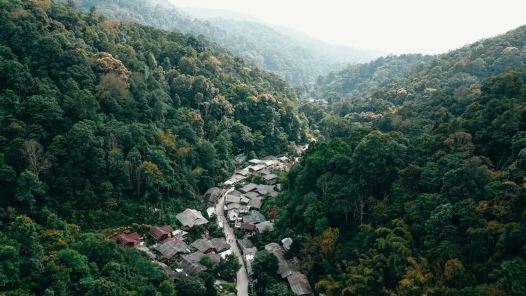 salinee-chot-0NU9fv5bruI-unsplash