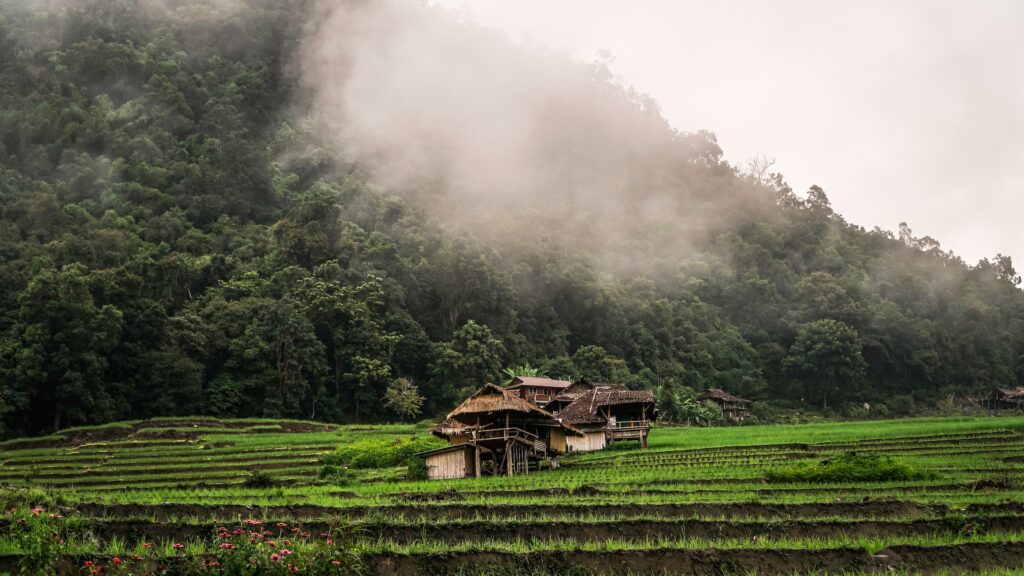 david-gardiner-kK7_NnIYTfs-unsplash