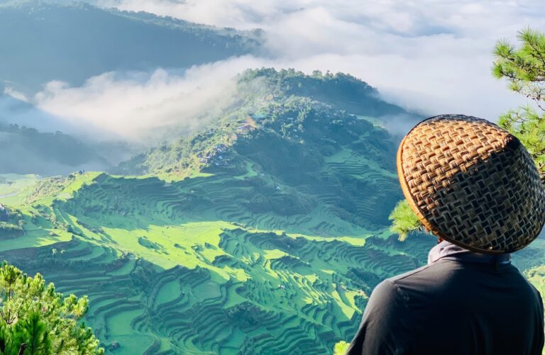 mikel-n6BxzwOGTC4-unsplash