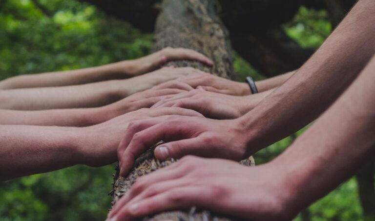 shane-rounce-DNkoNXQti3c-unsplash