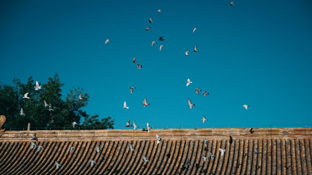tao-yuan-f2RGcypjKTw-unsplash