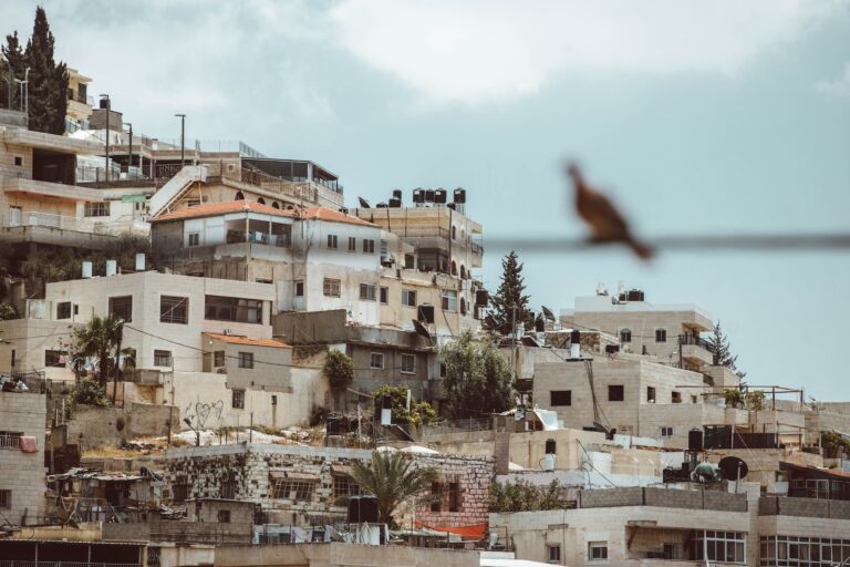 taylor-brandon-WgtaWlqHCwc-unsplash