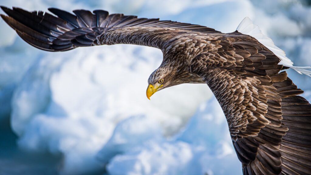 birger-strahl-FHVGn0vL0e0-unsplash